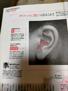 ダイエットに使う耳つぼ3 耳ツボサロンなら京都市山科区の耳ツボ痩身salon Nene